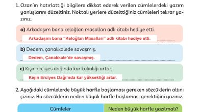 3. Sınıf Meb Yayınları Türkçe Ders Kitabı Sayfa 30 Cevapları