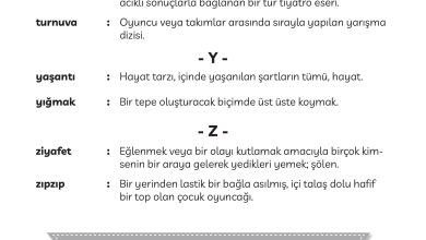 3. Sınıf Meb Yayınları Türkçe Ders Kitabı Sayfa 300 Cevapları