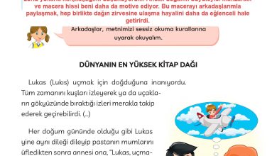 3. Sınıf Meb Yayınları Türkçe Ders Kitabı Sayfa 32 Cevapları