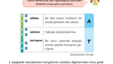 3. Sınıf Meb Yayınları Türkçe Ders Kitabı Sayfa 35 Cevapları