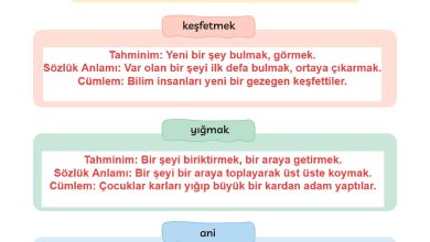 3. Sınıf Meb Yayınları Türkçe Ders Kitabı Sayfa 36 Cevapları