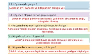 3. Sınıf Meb Yayınları Türkçe Ders Kitabı Sayfa 37 Cevapları