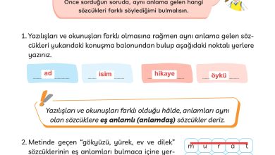 3. Sınıf Meb Yayınları Türkçe Ders Kitabı Sayfa 38 Cevapları