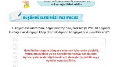 3. Sınıf Meb Yayınları Türkçe Ders Kitabı Sayfa 39 Cevapları