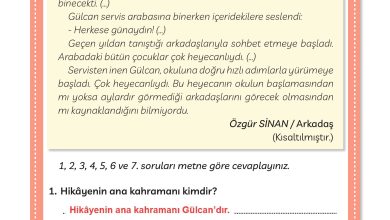 3. Sınıf Meb Yayınları Türkçe Ders Kitabı Sayfa 41 Cevapları