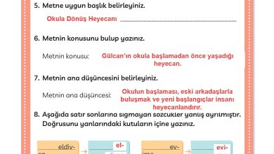 3. Sınıf Meb Yayınları Türkçe Ders Kitabı Sayfa 42 Cevapları