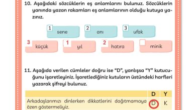 3. Sınıf Meb Yayınları Türkçe Ders Kitabı Sayfa 43 Cevapları