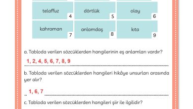 3. Sınıf Meb Yayınları Türkçe Ders Kitabı Sayfa 44 Cevapları