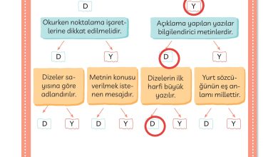 3. Sınıf Meb Yayınları Türkçe Ders Kitabı Sayfa 45 Cevapları