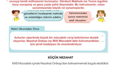 3. Sınıf Meb Yayınları Türkçe Ders Kitabı Sayfa 48 Cevapları