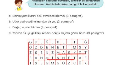 3. Sınıf Meb Yayınları Türkçe Ders Kitabı Sayfa 51 Cevapları