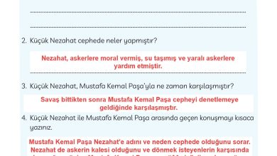 3. Sınıf Meb Yayınları Türkçe Ders Kitabı Sayfa 52 Cevapları