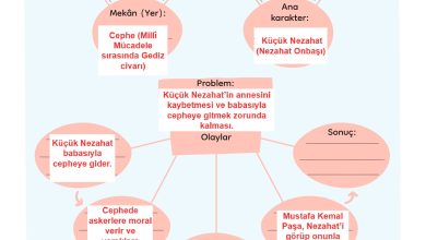 3. Sınıf Meb Yayınları Türkçe Ders Kitabı Sayfa 53 Cevapları