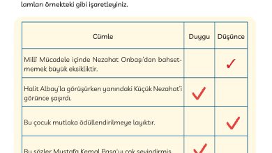 3. Sınıf Meb Yayınları Türkçe Ders Kitabı Sayfa 54 Cevapları