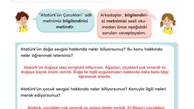 3. Sınıf Meb Yayınları Türkçe Ders Kitabı Sayfa 56 Cevapları