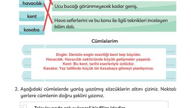 3. Sınıf Meb Yayınları Türkçe Ders Kitabı Sayfa 59 Cevapları