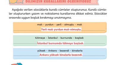 3. Sınıf Meb Yayınları Türkçe Ders Kitabı Sayfa 61 Cevapları