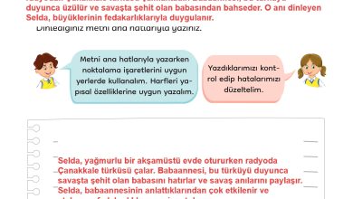 3. Sınıf Meb Yayınları Türkçe Ders Kitabı Sayfa 67 Cevapları