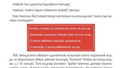 3. Sınıf Meb Yayınları Türkçe Ders Kitabı Sayfa 69 Cevapları