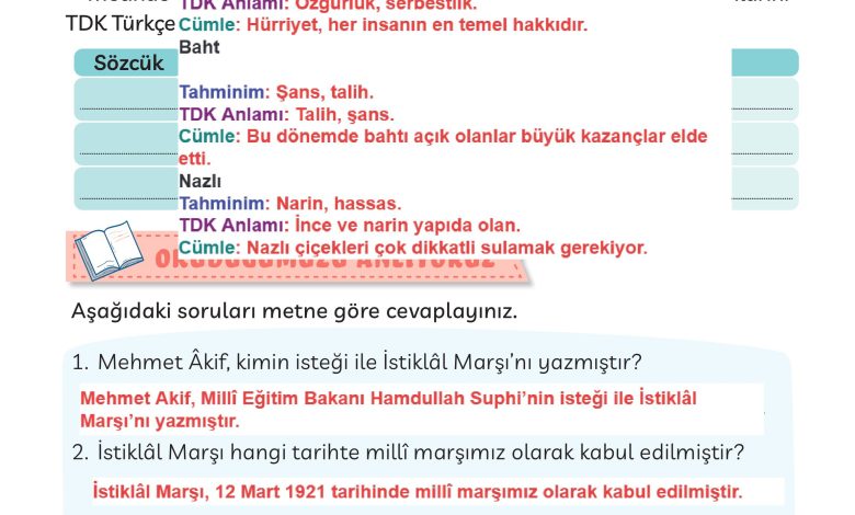 3. Sınıf Meb Yayınları Türkçe Ders Kitabı Sayfa 71 Cevapları