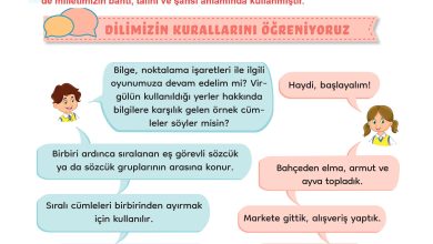 3. Sınıf Meb Yayınları Türkçe Ders Kitabı Sayfa 72 Cevapları