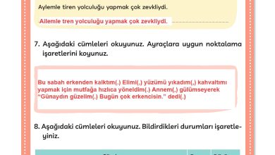 3. Sınıf Meb Yayınları Türkçe Ders Kitabı Sayfa 77 Cevapları