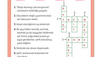 3. Sınıf Meb Yayınları Türkçe Ders Kitabı Sayfa 79 Cevapları