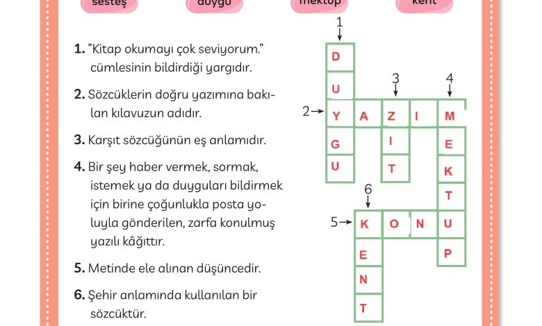 3. Sınıf Meb Yayınları Türkçe Ders Kitabı Sayfa 79 Cevapları