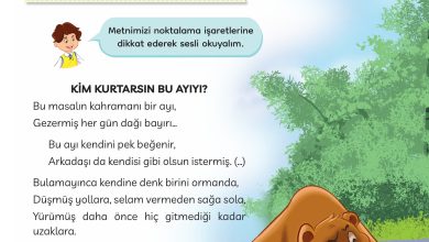 3. Sınıf Meb Yayınları Türkçe Ders Kitabı Sayfa 82 Cevapları