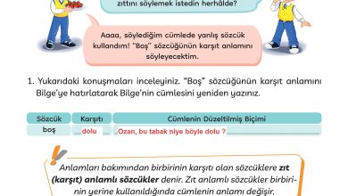 3. Sınıf Meb Yayınları Türkçe Ders Kitabı Sayfa 87 Cevapları