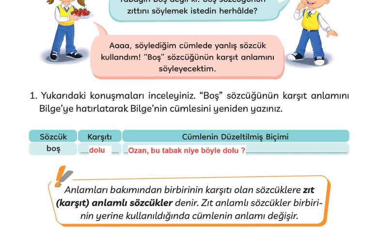 3. Sınıf Meb Yayınları Türkçe Ders Kitabı Sayfa 87 Cevapları