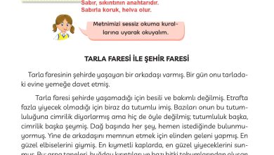 3. Sınıf Meb Yayınları Türkçe Ders Kitabı Sayfa 89 Cevapları