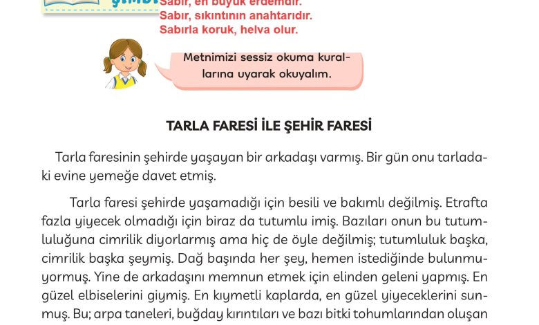 3. Sınıf Meb Yayınları Türkçe Ders Kitabı Sayfa 89 Cevapları