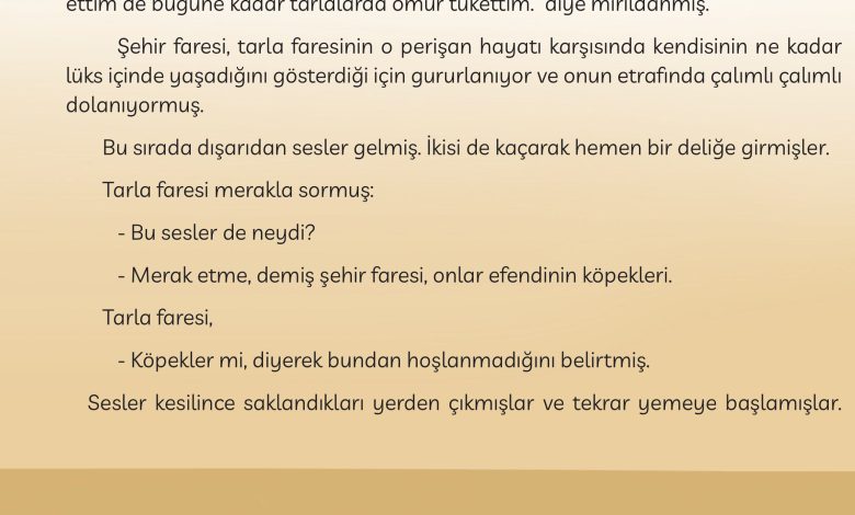 3. Sınıf Meb Yayınları Türkçe Ders Kitabı Sayfa 90 Cevapları