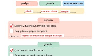 3. Sınıf Meb Yayınları Türkçe Ders Kitabı Sayfa 92 Cevapları