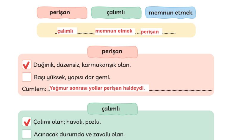 3. Sınıf Meb Yayınları Türkçe Ders Kitabı Sayfa 92 Cevapları