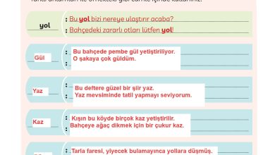 3. Sınıf Meb Yayınları Türkçe Ders Kitabı Sayfa 95 Cevapları