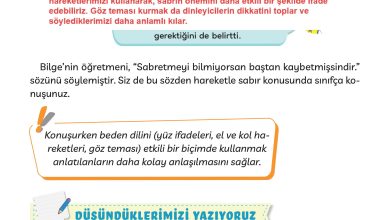 3. Sınıf Meb Yayınları Türkçe Ders Kitabı Sayfa 96 Cevapları