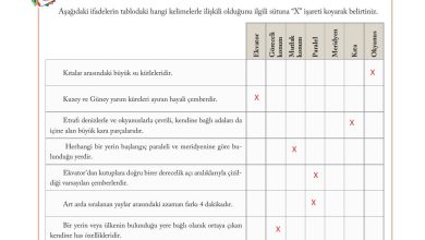 6. Sınıf Evos Yayınları Sosyal Bilgiler Ders Kitabı Sayfa 104 Cevapları