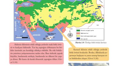 6. Sınıf Evos Yayınları Sosyal Bilgiler Ders Kitabı Sayfa 112 Cevapları