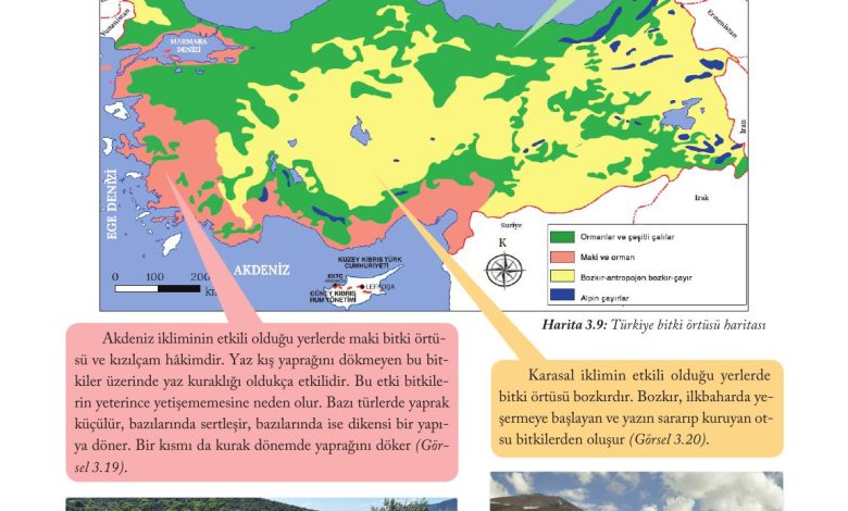 6. Sınıf Evos Yayınları Sosyal Bilgiler Ders Kitabı Sayfa 112 Cevapları