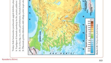 6. Sınıf Evos Yayınları Sosyal Bilgiler Ders Kitabı Sayfa 113 Cevapları