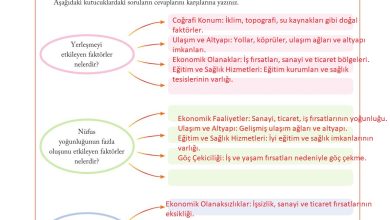 6. Sınıf Evos Yayınları Sosyal Bilgiler Ders Kitabı Sayfa 115 Cevapları