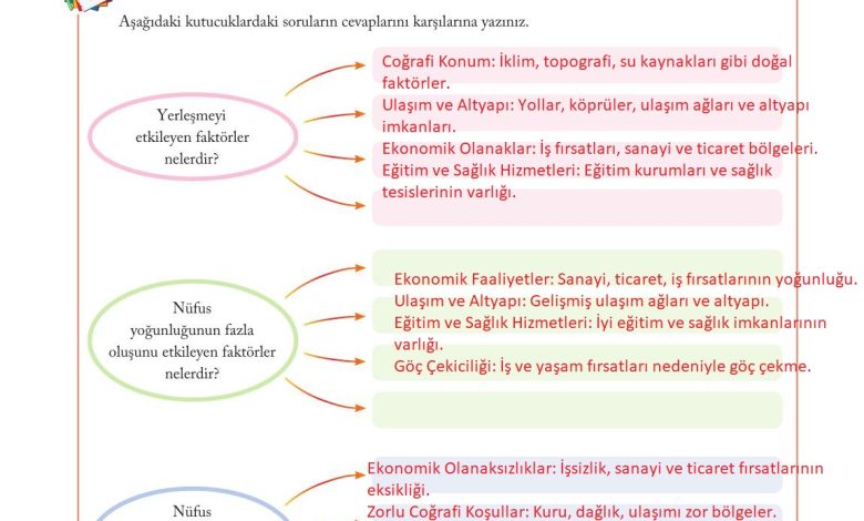 6. Sınıf Evos Yayınları Sosyal Bilgiler Ders Kitabı Sayfa 115 Cevapları