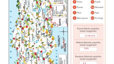 6. Sınıf Evos Yayınları Sosyal Bilgiler Ders Kitabı Sayfa 116 Cevapları