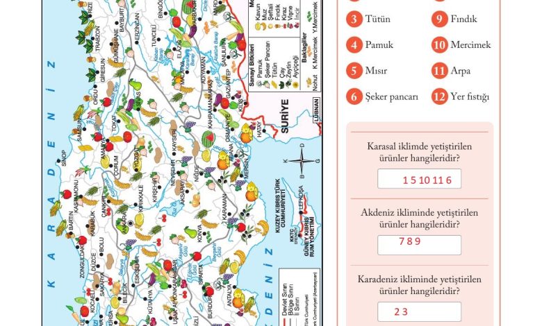 6. Sınıf Evos Yayınları Sosyal Bilgiler Ders Kitabı Sayfa 116 Cevapları