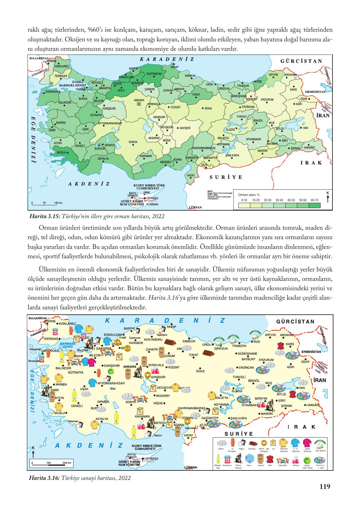 6. Sınıf Evos Yayınları Sosyal Bilgiler Ders Kitabı Sayfa 119 Cevapları