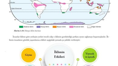 6. Sınıf Evos Yayınları Sosyal Bilgiler Ders Kitabı Sayfa 122 Cevapları