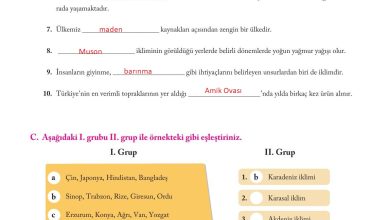 6. Sınıf Evos Yayınları Sosyal Bilgiler Ders Kitabı Sayfa 129 Cevapları