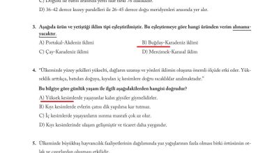 6. Sınıf Evos Yayınları Sosyal Bilgiler Ders Kitabı Sayfa 130 Cevapları